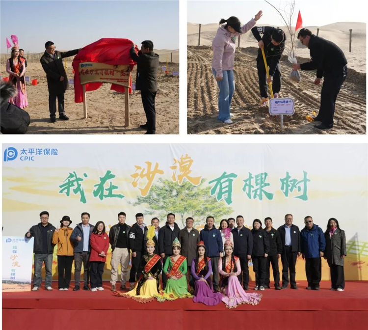 图片7