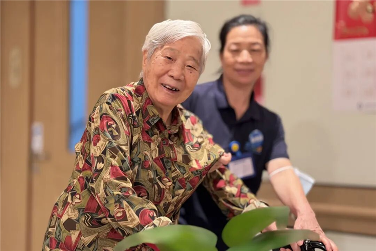 图片6
